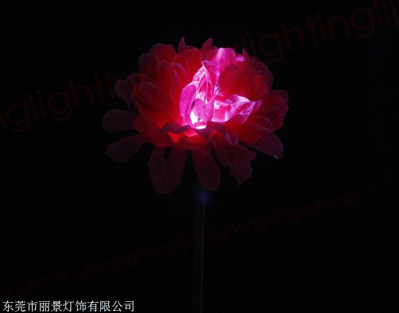 绽放夜色 新款创意菊花灯点亮广场公园与灯光节
